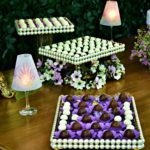 Galeria ANIVERSÁRIO SURPRESA PASTORA CAMILLA