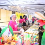 Galeria FESTA DO MILHO 2019