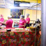 Galeria FESTA DO MILHO 2019
