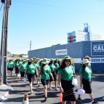 Galeria DESFILE CIBEG 2019