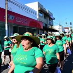 Galeria DESFILE CIBEG 2019