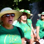 Galeria DESFILE CIBEG 2019