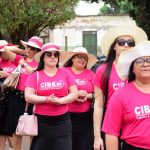 Galeria DESFILE CIBEG BOM JESUS/GO