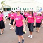 Galeria DESFILE CIBEG BOM JESUS/GO