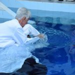 Galeria BATISMO DEZEMBRO/2019