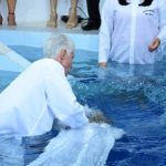 Galeria BATISMO DEZEMBRO/2019