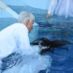 Galeria BATISMO DEZEMBRO/2019