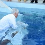 Galeria BATISMO DEZEMBRO/2019