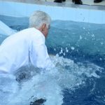 Galeria BATISMO DEZEMBRO/2019