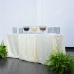 Galeria ALMOÇO COM O PASTOR PRESIDENTE CORNÉLIO NETO