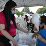 Galeria Evangelismo KIDS