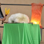 Galeria Musical de Natal